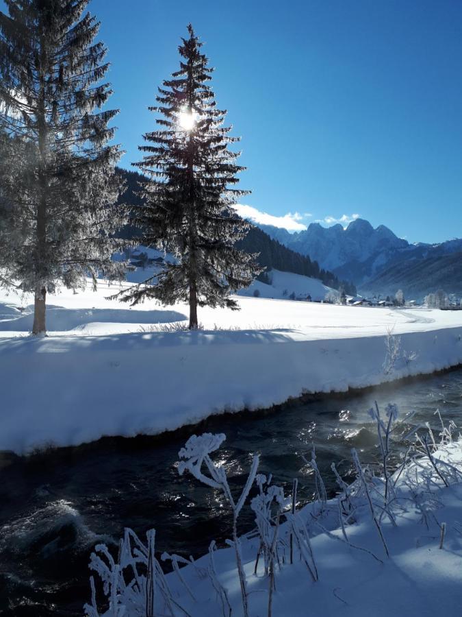 Apartment Transylvania & Gosau