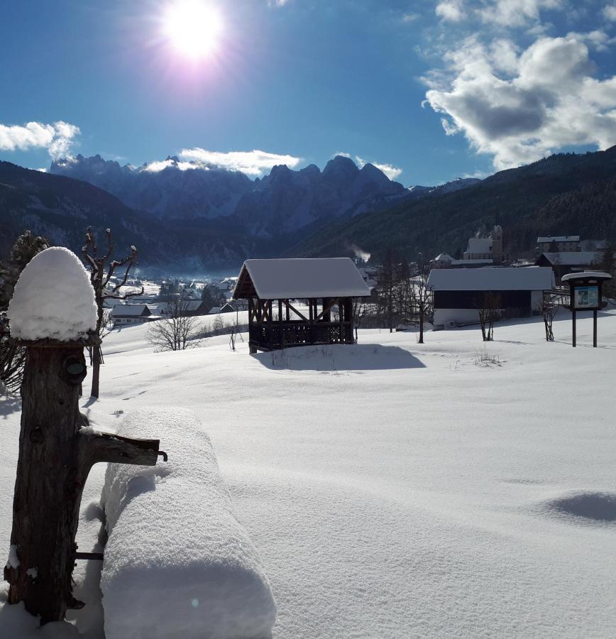 Transylvania & Gosau
