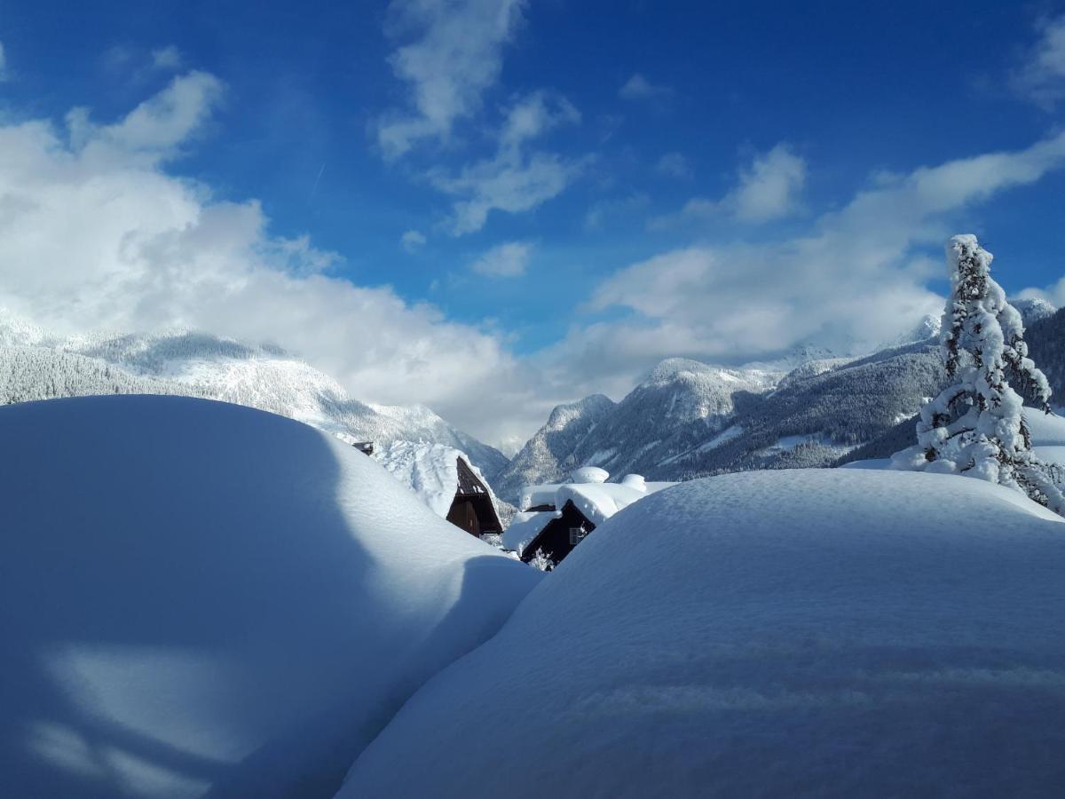 Transylvania & Apartment Gosau