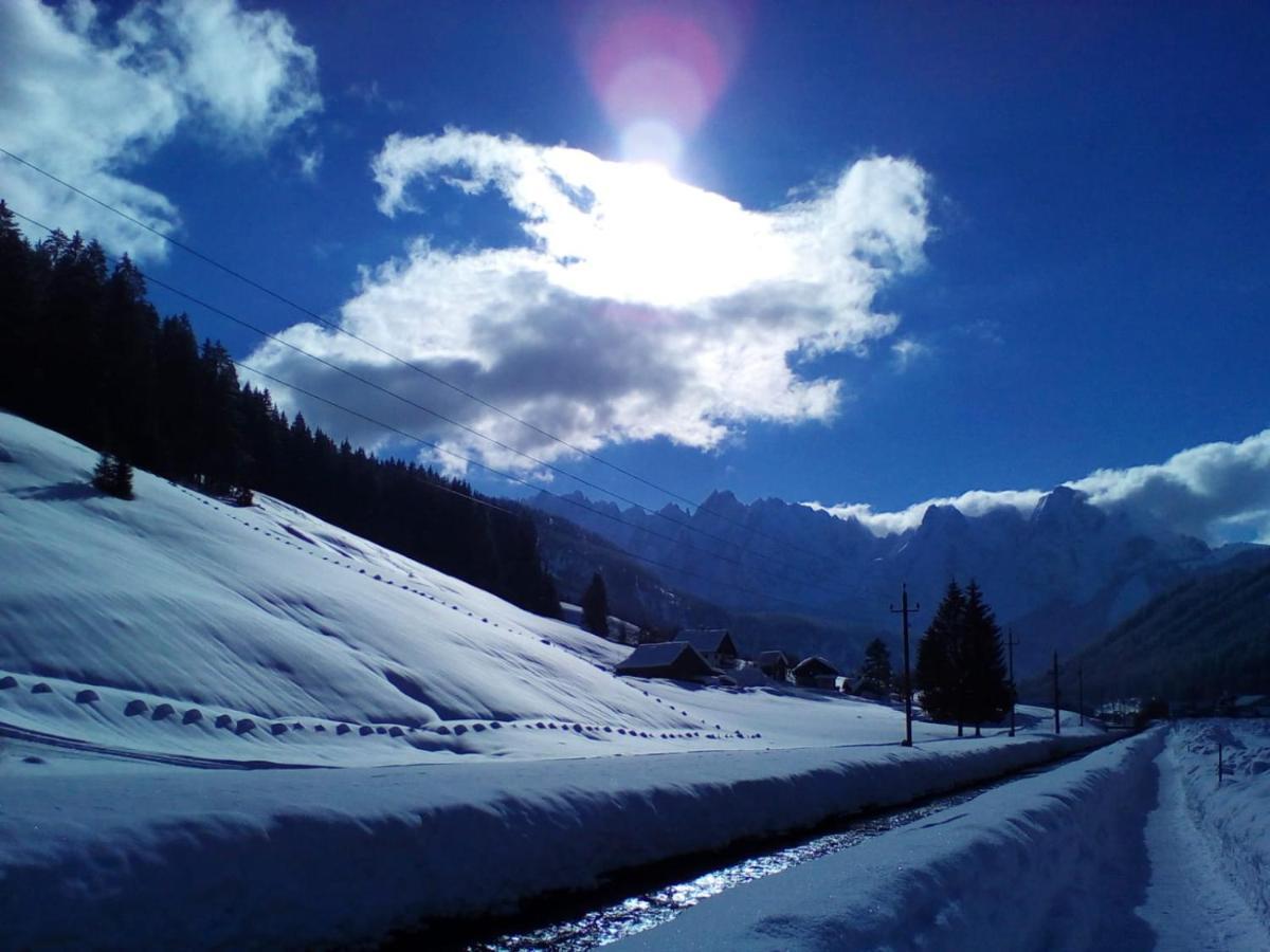 Apartment Transylvania & Gosau
