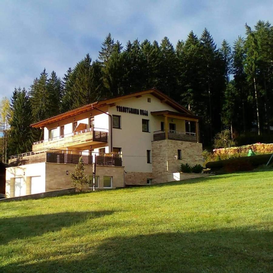 Apartamento Transylvania &