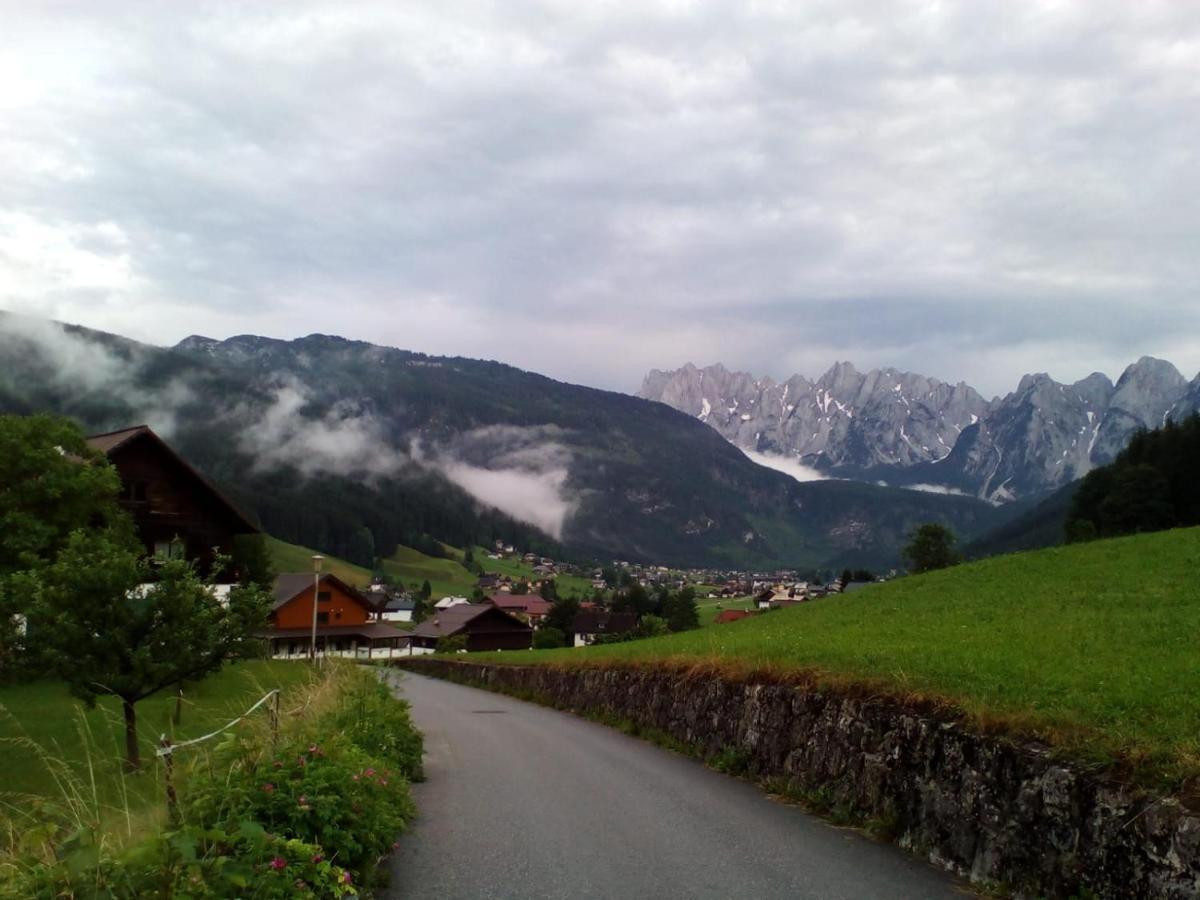 Transylvania & Gosau